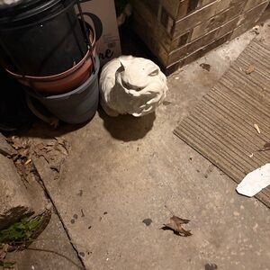 Set of Elegant White Cat Sculptures